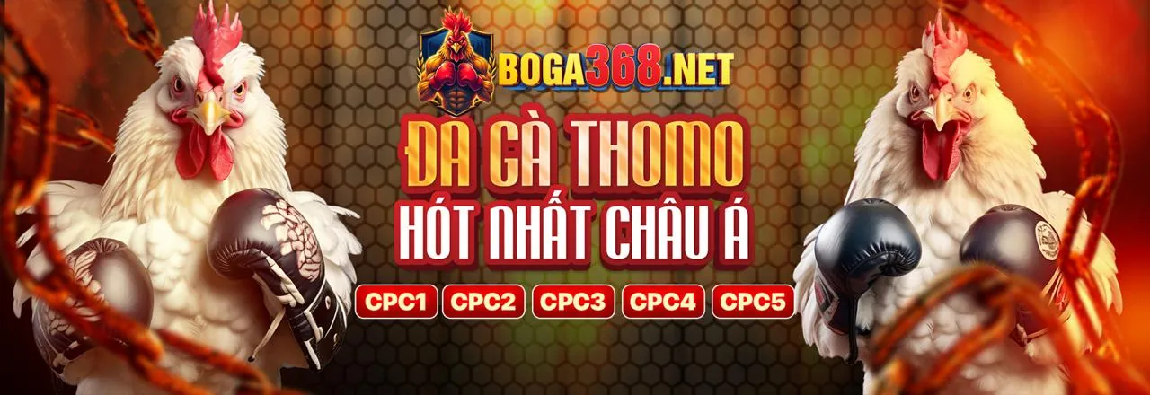 Tầm nhìn tương lai của 168f
